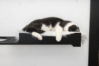 Black and white cat sleeping on a elevated black platform against a white wall.