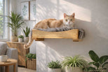 Cat lounging on a wooden cat shelf in a sunlit room with plants.