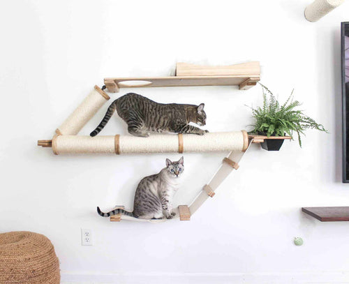 cat scratching on scratching post