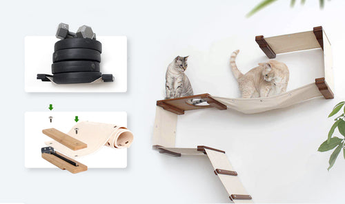 Cat wall shelves and climbing structures on a white background