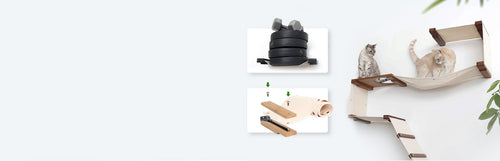 Cat furniture and toys on a white background
