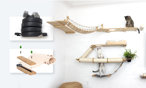 Cat play furniture set including a hammock, climbing shelves, and scratching posts on a white wall.
