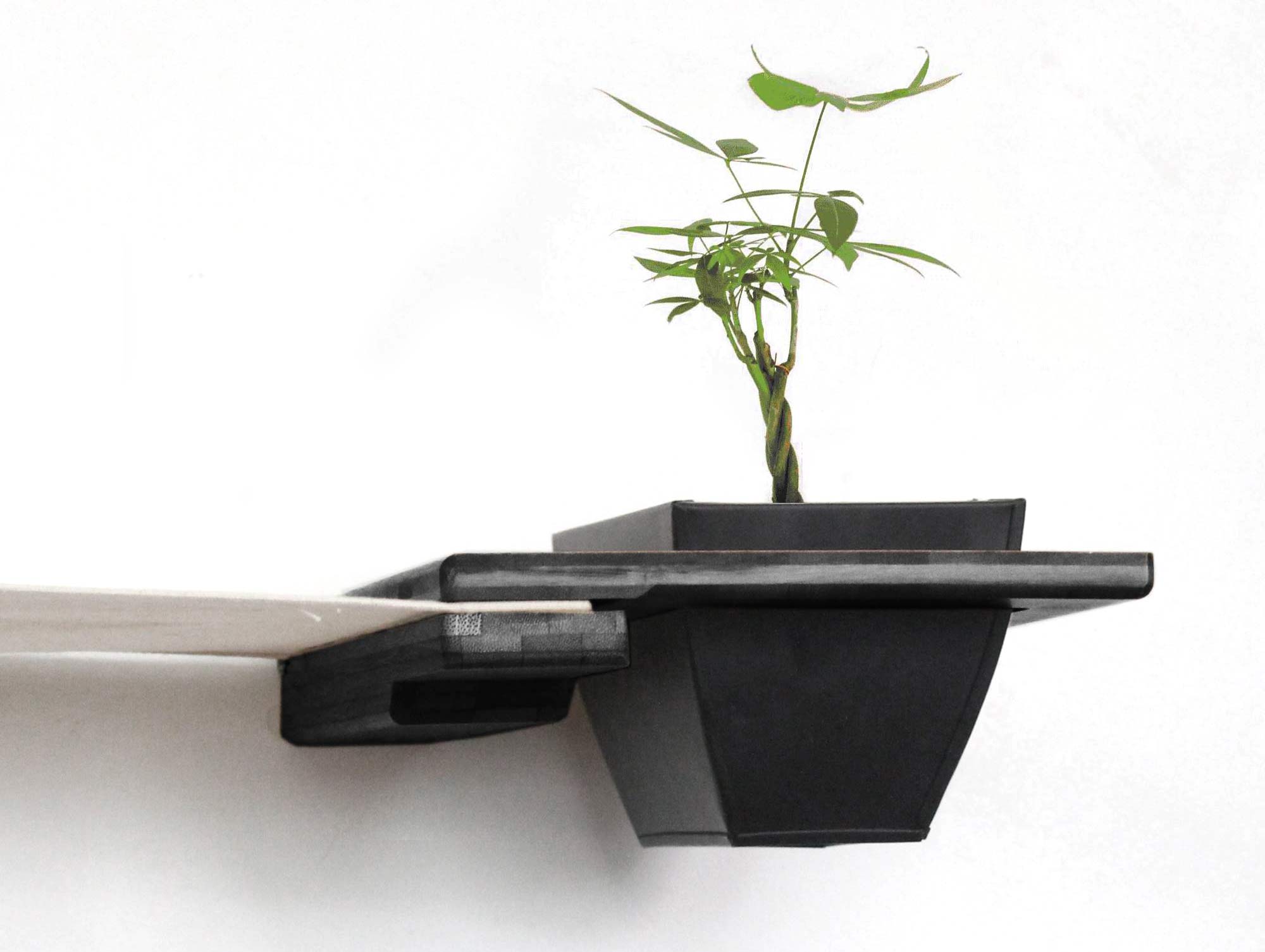 planter shelf for cats in onyx stain