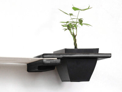 planter shelf for cats in onyx stain