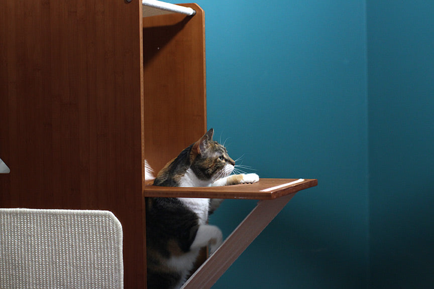 Cat climbing through the Overlook Cat Tree