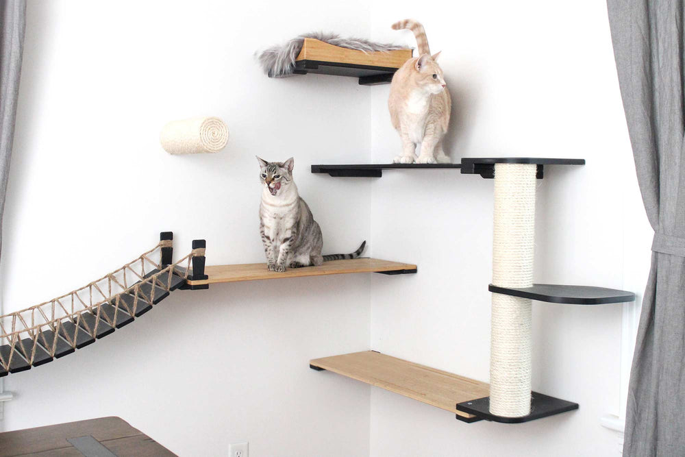 A pair of cats playing on a corner-installed condo to illustrate efficient use of space in apartments. Finishes shown are Onyx and Natural.