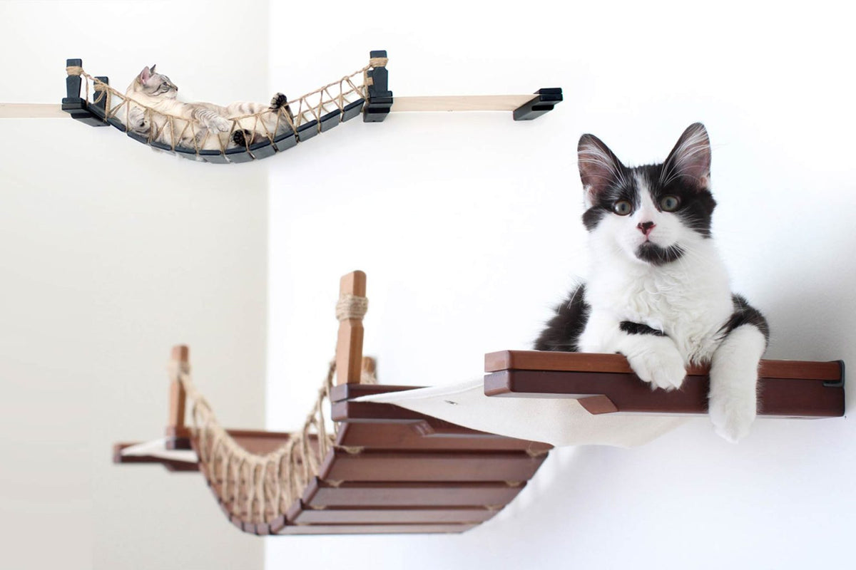 two variations of the wall mounted cat bridge lounge with cats laying on the bridge and stretched canvas hammock