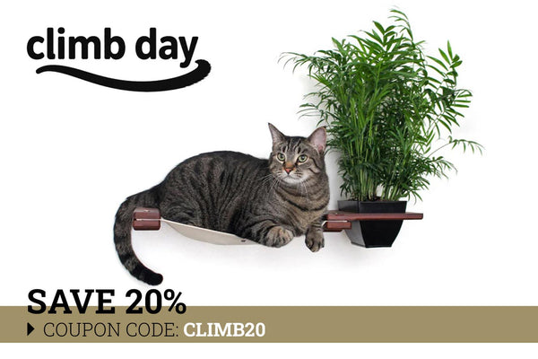 cat laying on planter hammock with 20% off coupon code. 