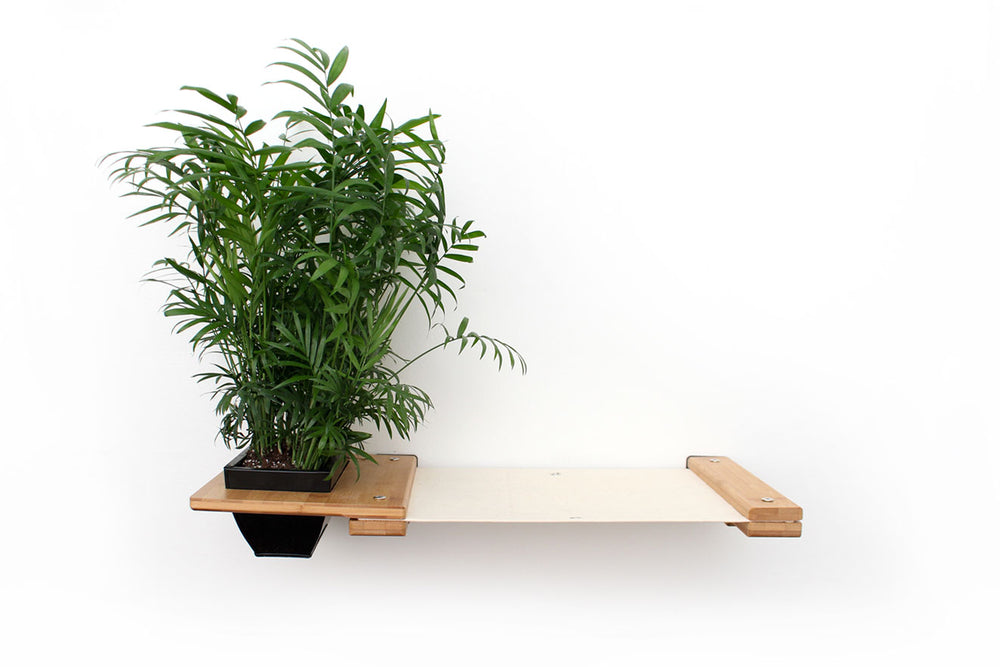 Planter Lounge in Natural finish bamboo with Natural canvas fabric hammock.