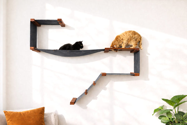 Wall-mounted cat shelf with two cats on a white wall.