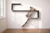 Cat climbing on a wall-mounted cat shelf in a room with a window and wooden floor.
