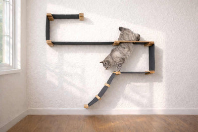 Cat climbing on a wall-mounted cat shelf in a room with a window and wooden floor.