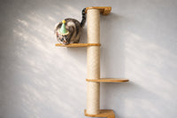 cat on cat pole shelf wearing party hat