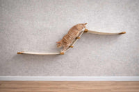 Cat climbing on a wooden shelf against a gray wall.
