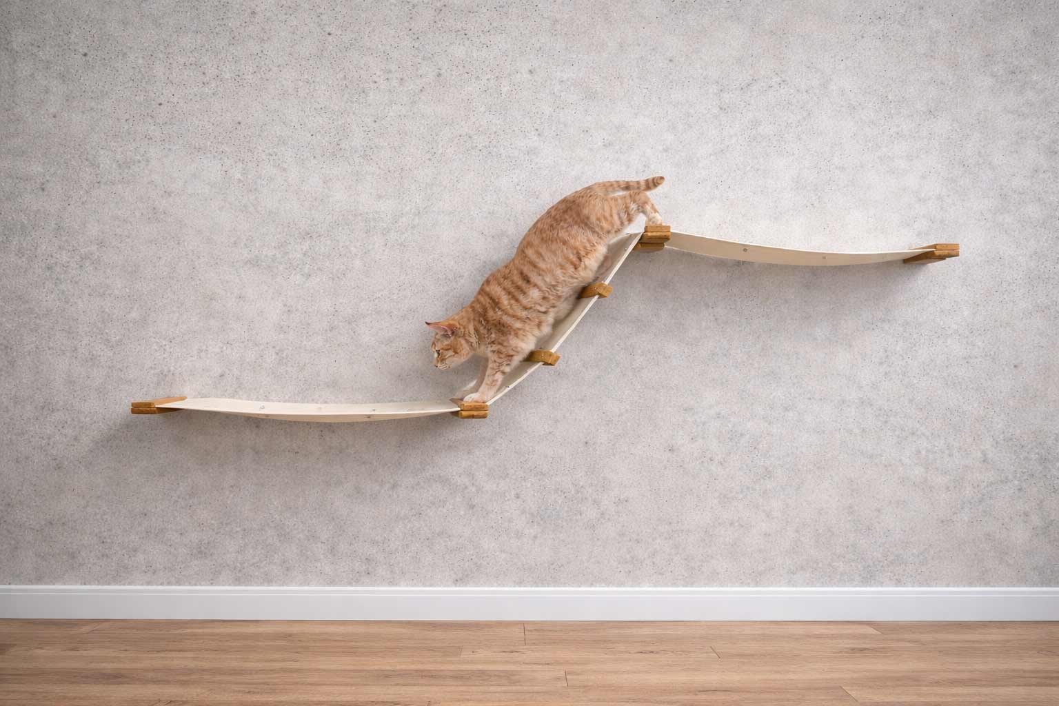 Cat climbing on a wooden shelf against a gray wall.