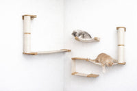 Cat climbing wall with shelves and a hammock on a white wall