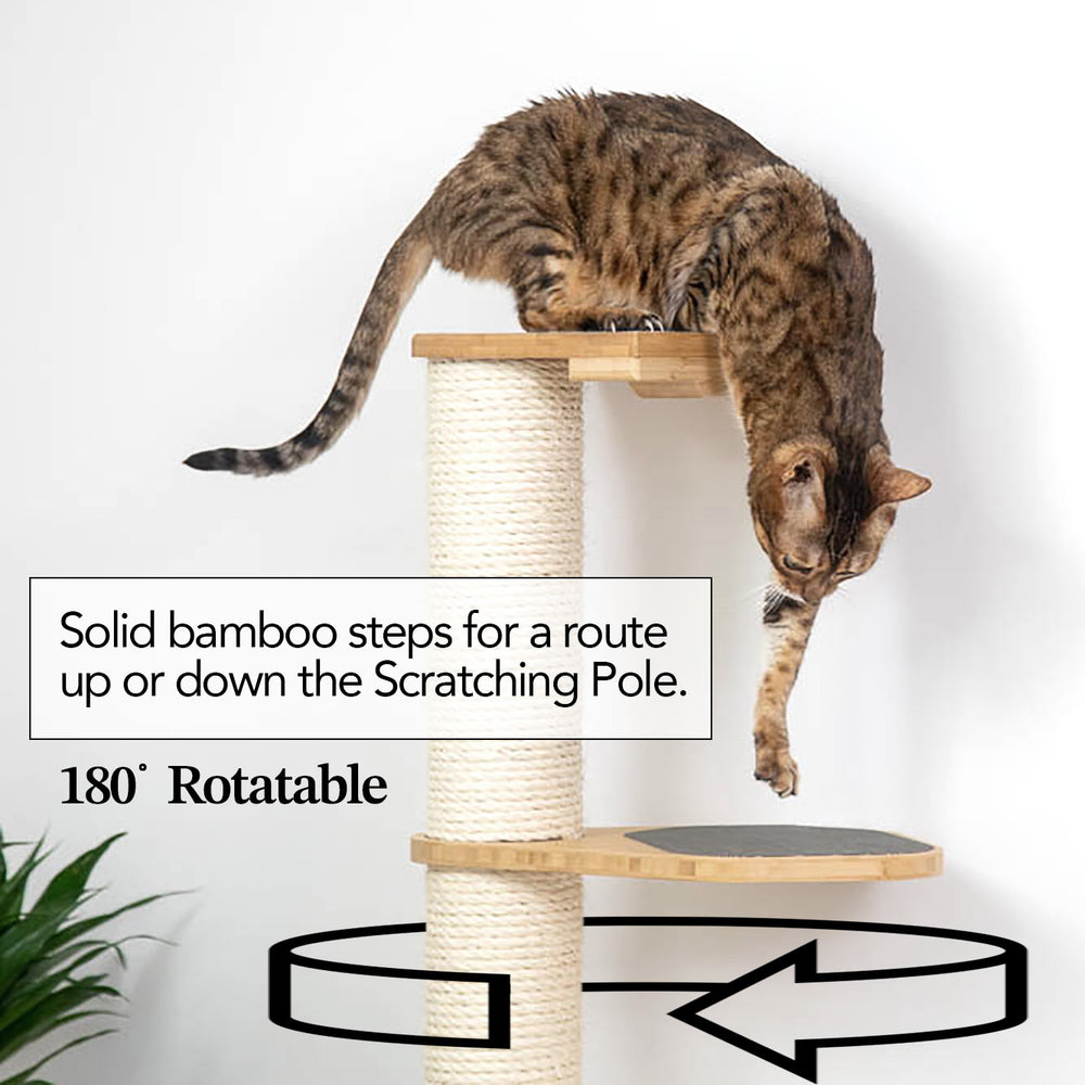 Photo showcases the benefits of adding a Leaf Shelf to the sisal cat scratching pole