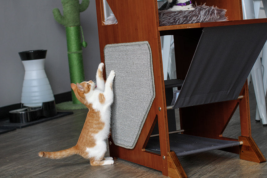 Kitten scratching the sisal mat of the Overlook Cat Tree