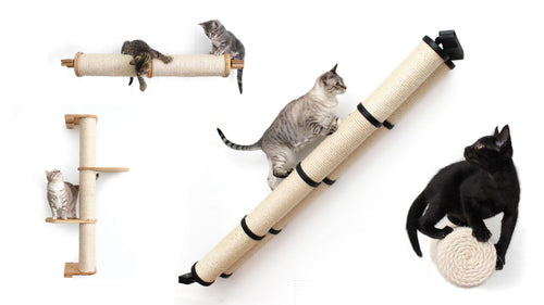 Cats climbing on scratching poles