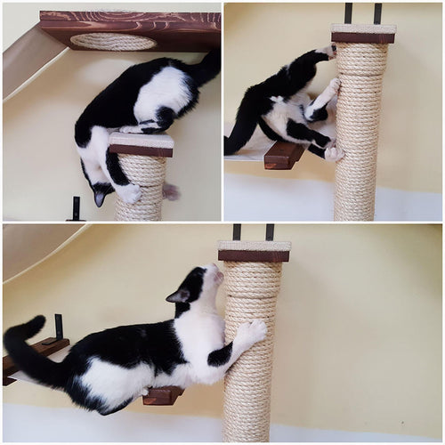 cat scratching on a scratching pole