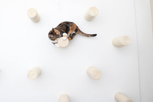 cat clawing wall mounted scratching pole