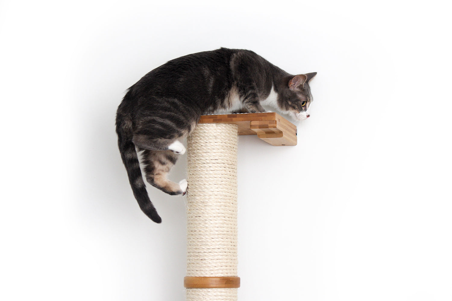 Grey and white tabby cat climbing on top of a Sisal Pole in Natural.