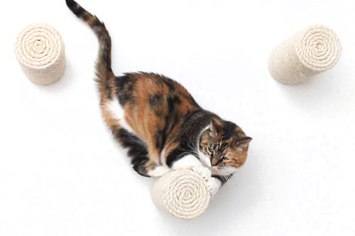 Floating Cat Steps for Wall