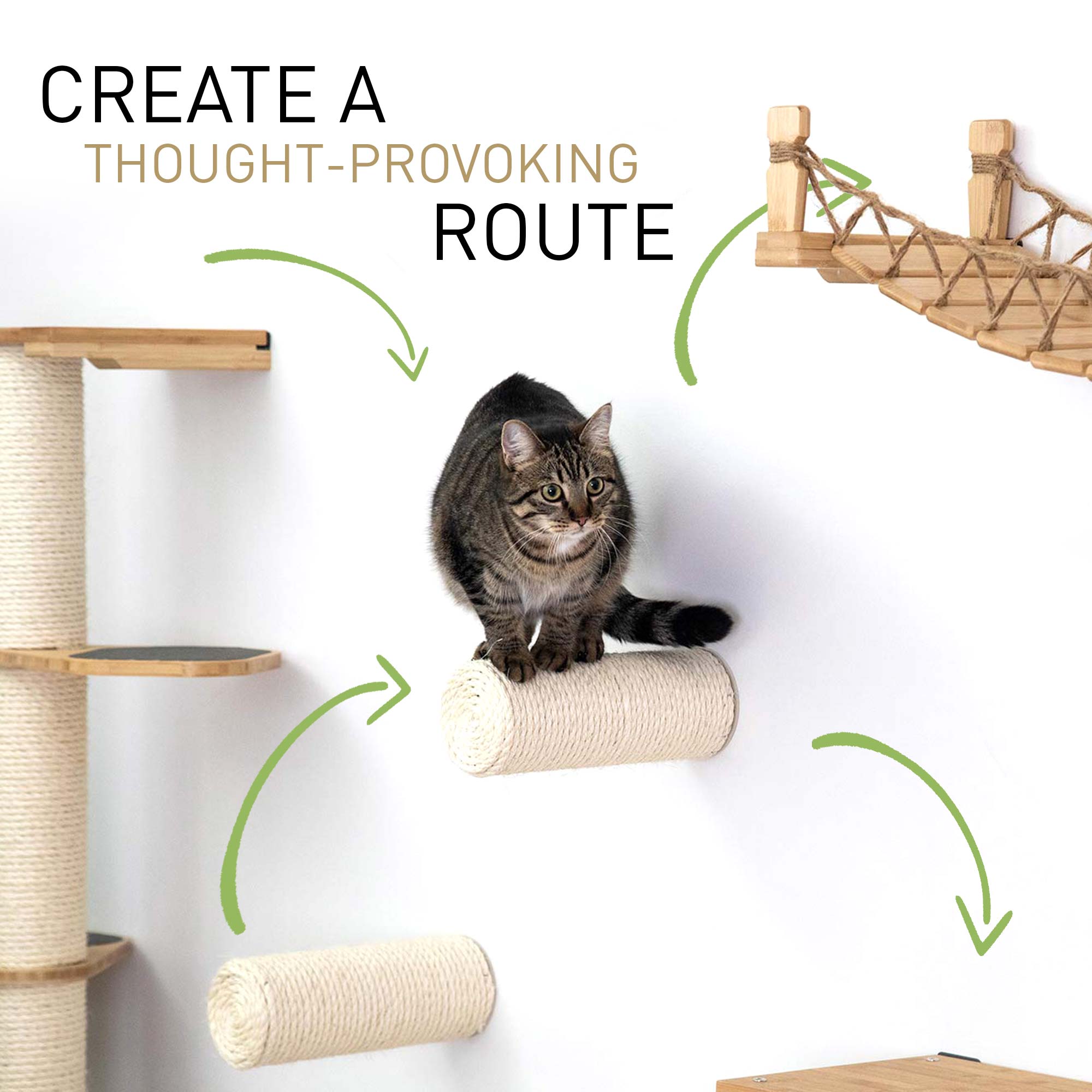 Graphic of a tabby cat trying to decide which way to go through various shelves and bridges. Text reads: "Create a thought-provoking route" and is illustrated with 4 green arrows showing different routes the cat could take.