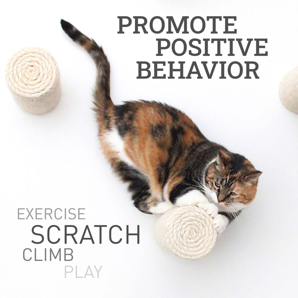Graphic of a calico cat clawing on a floating sisal post. Text reads "Promote Positive Behavior. Exercise, Scratch, Climb, Play."