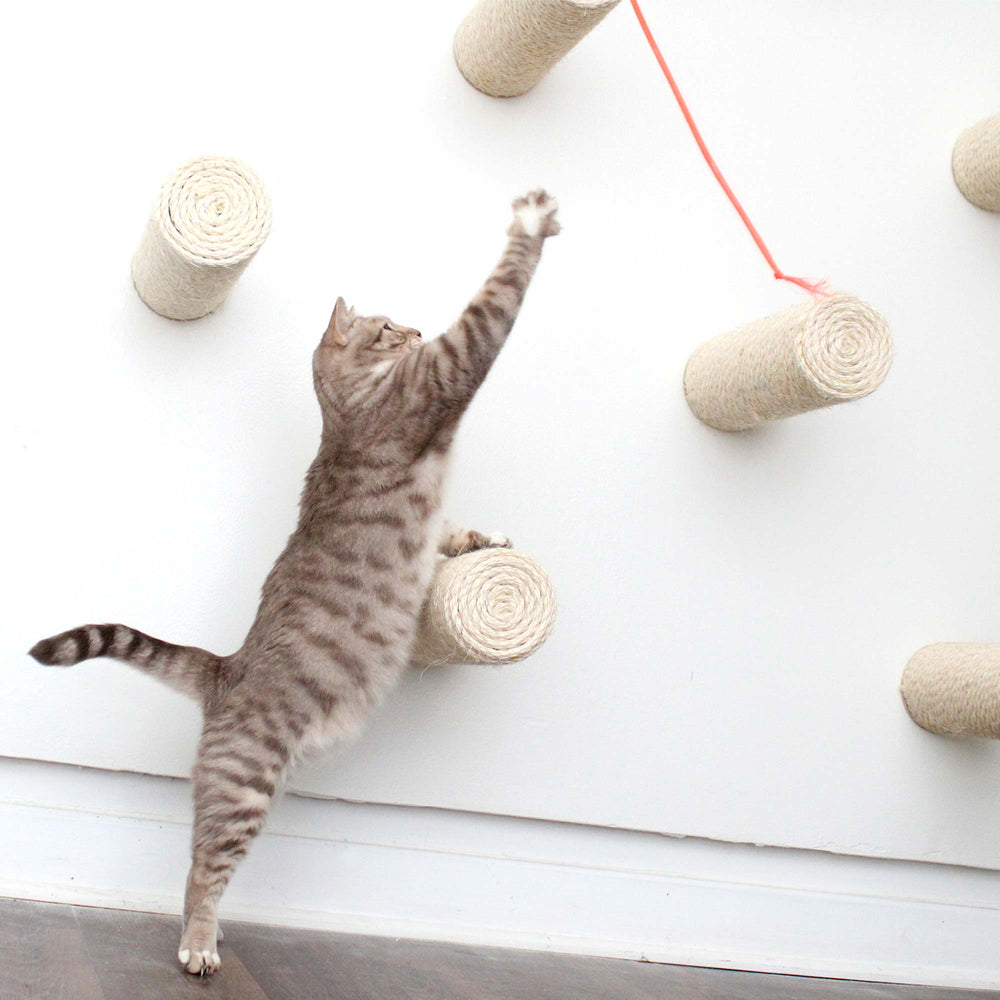 Cat stretching to reach a string just out of reach, balanced on one of several floating sisal poles.
