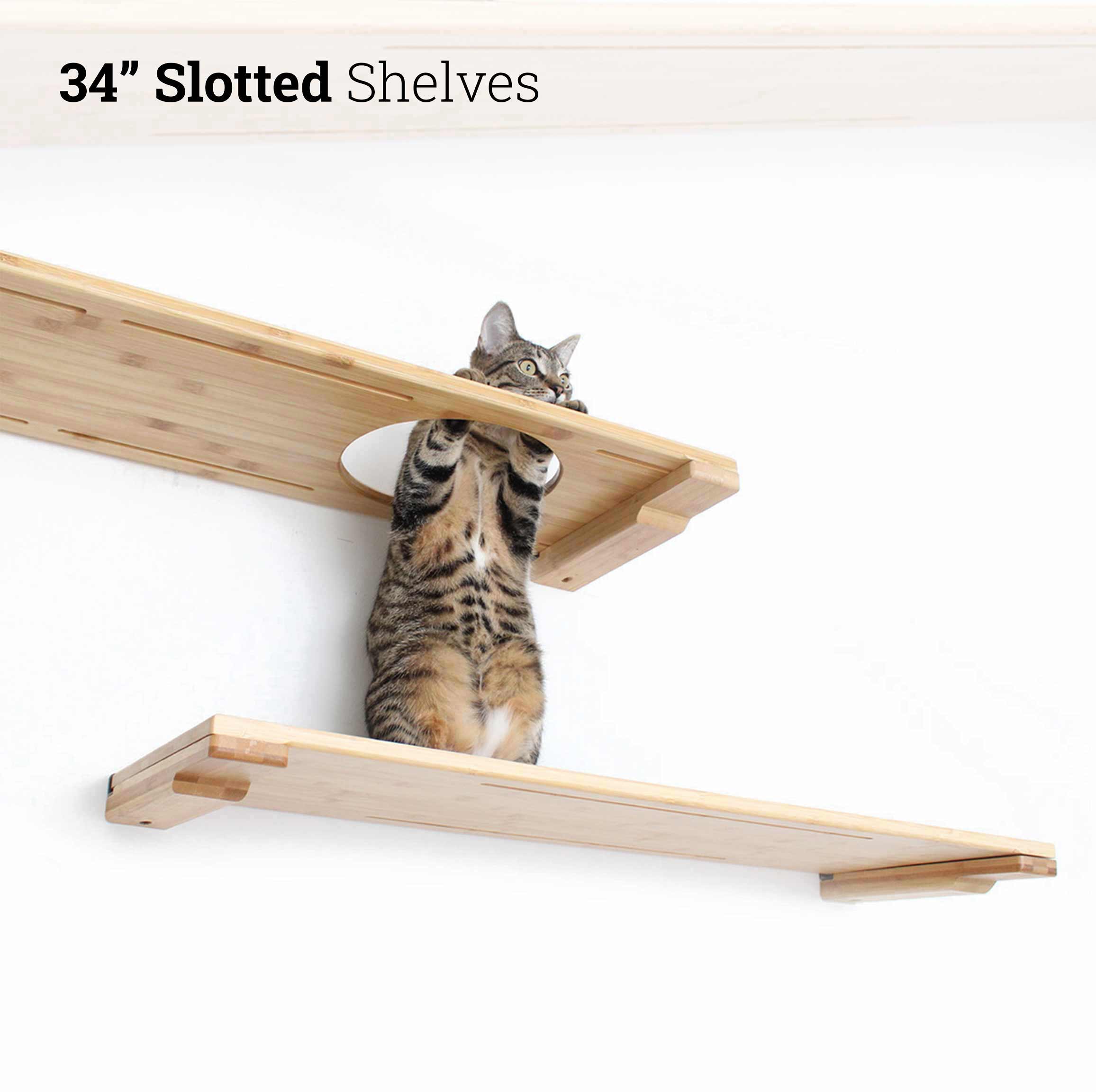 Photo showcases the updated slotted shelf version of the 34" cat shelf and escape hatch