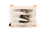 cat looking through cubby