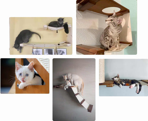 layout of photos from customers condos
