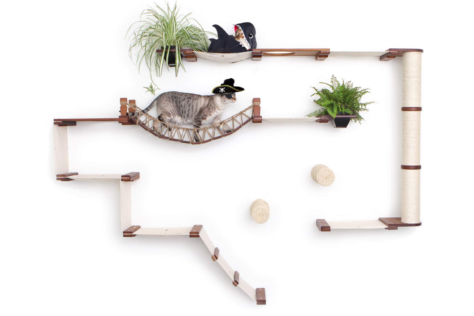 Cat playing with a toy on a wall-mounted cat tree with shelves and plants.