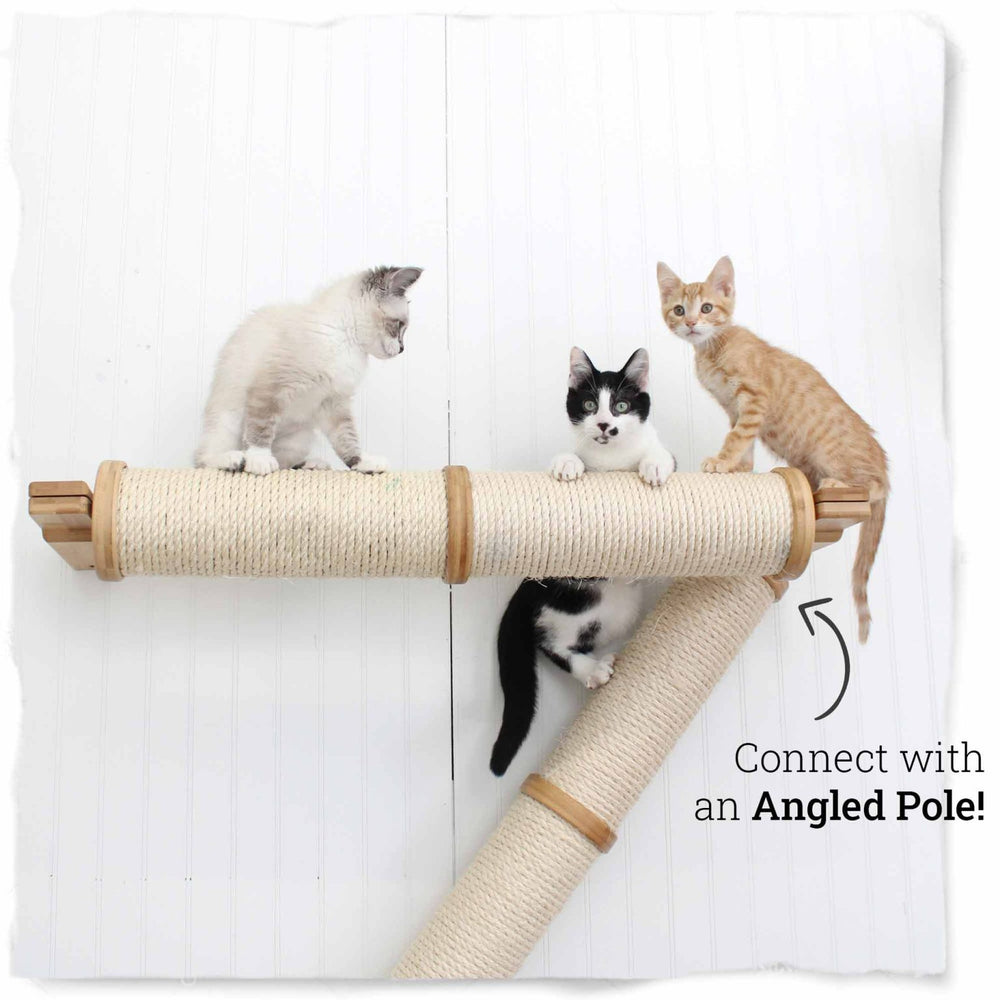Three kittens playing on an Angled Pole connected to a Horizontal Pole.