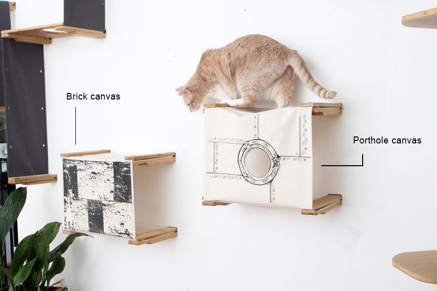 Orange cat atop Standard Cubby in Natural with Porthole canvas.