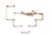 Cat on a wooden wall shelf with a white background