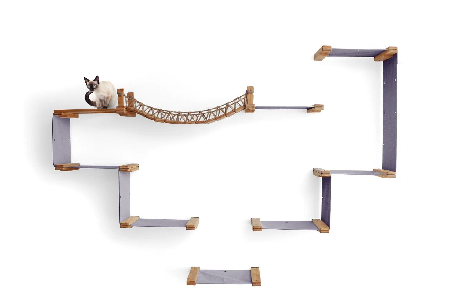 Cat playing on a wall-mounted cat shelf with multiple levels and a bridge.