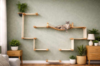 Wooden cat shelf system on a wall with a cat resting on it, surrounded by plants and furniture.