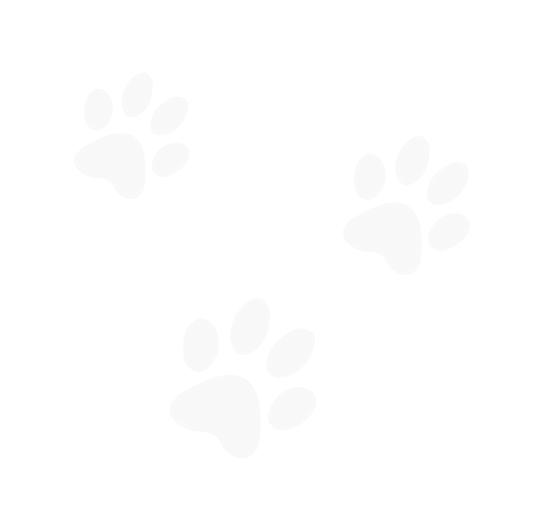 three white paw prints icon