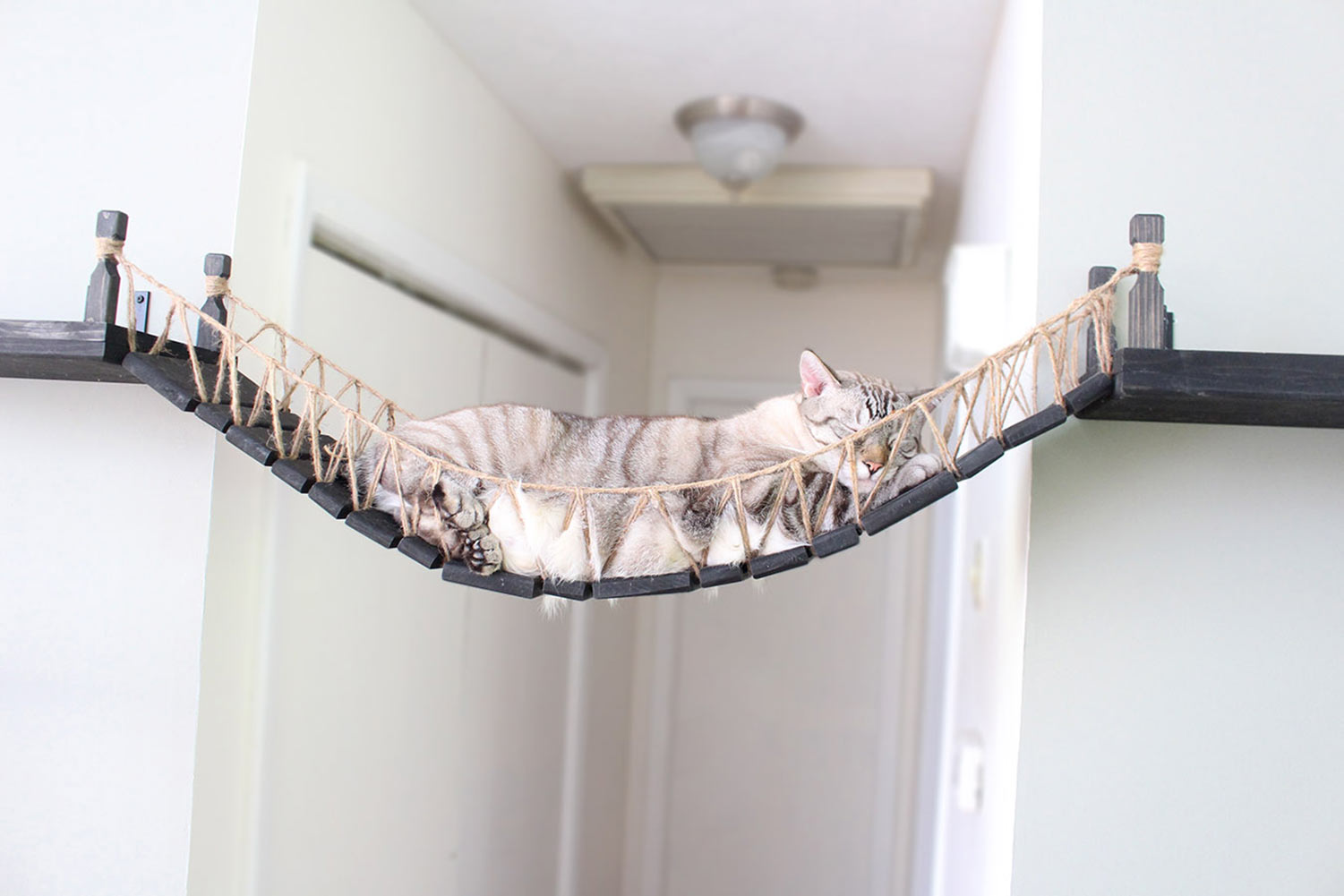 Cat sleeping on Onyx and Twine bridge installed across a doorway.