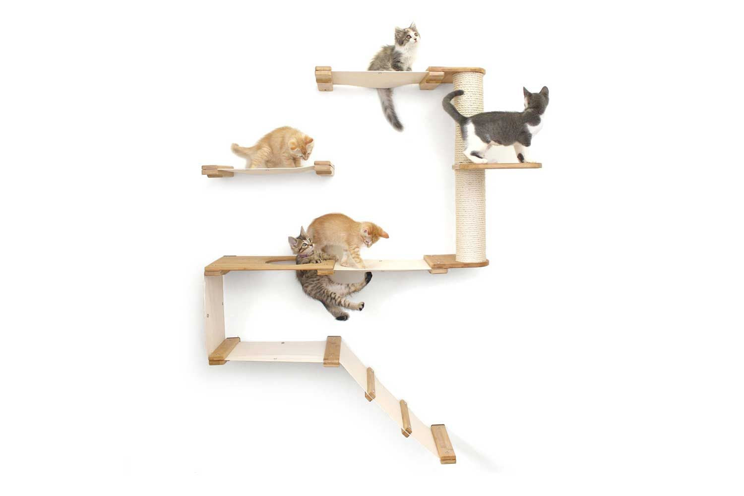 Cats on Deluxe Fort