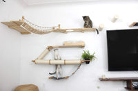 cats looking at each other on different structures featuring wayfinder cat condo
