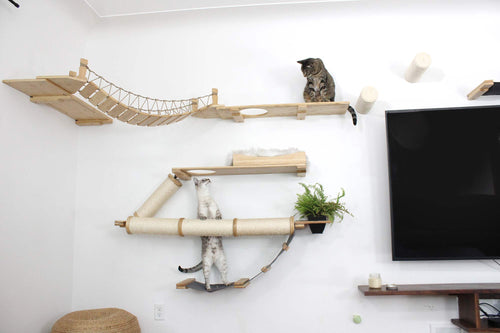 cats looking at each other on different structures featuring wayfinder cat condo