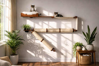 kittens sitting on cat wall condo in livingroom setting