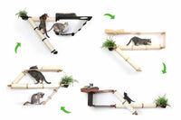Cat wall shelf with various cat positions on a white background