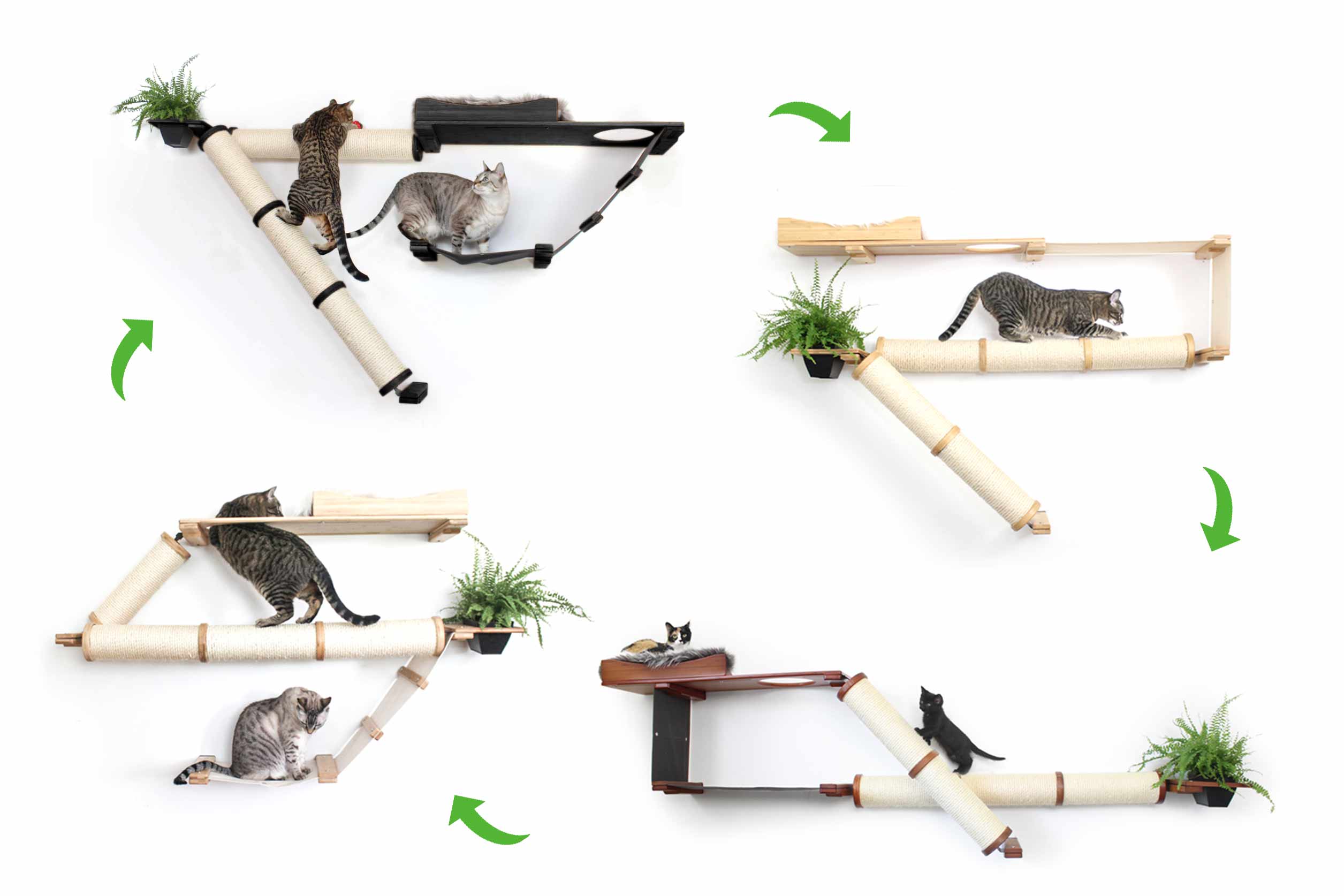 Cat wall shelf with various cat positions on a white background