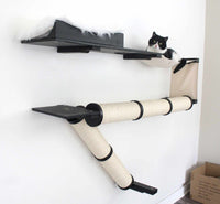 cat lounging on hammock on wayfinder cat condo