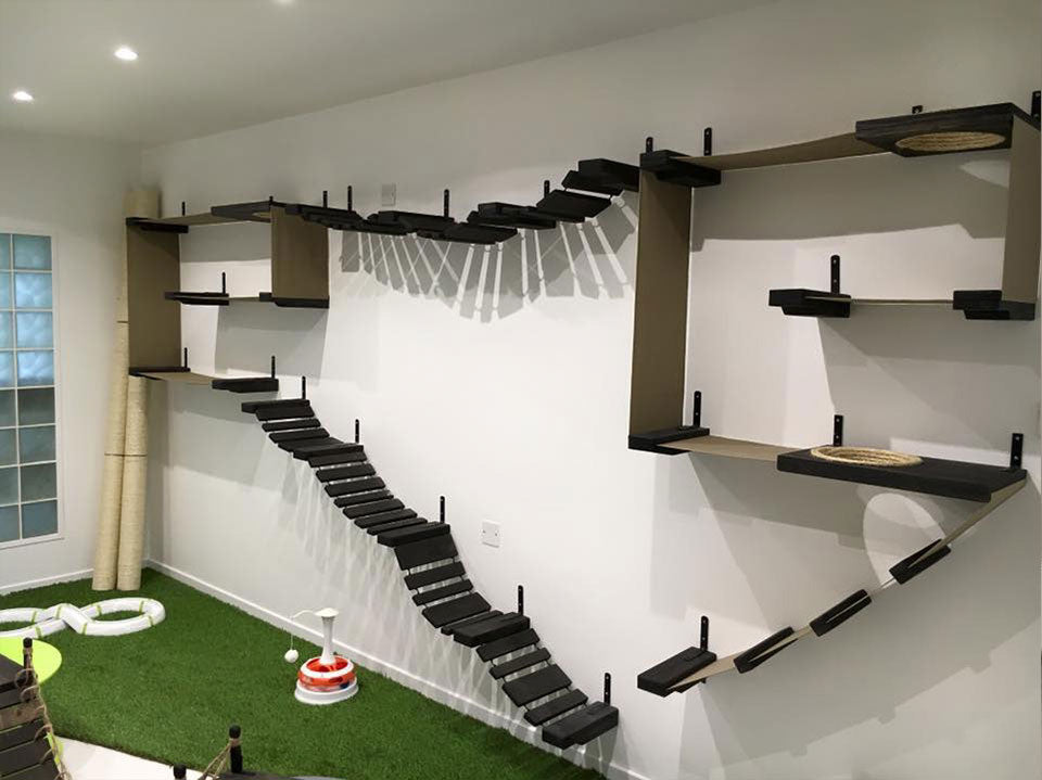 large cat wall with interesting cat bridges