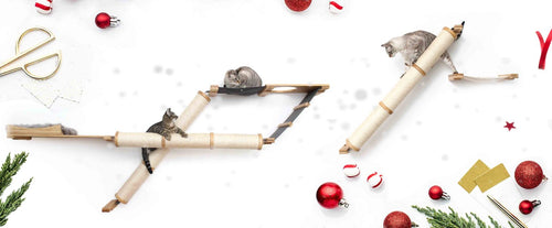 Catastrophic Creations wall mounted cat furniture set on a festive backdrop